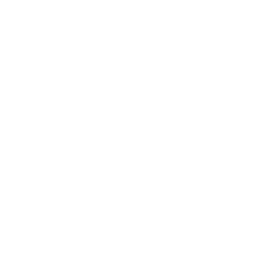 Логотип Steel Mania